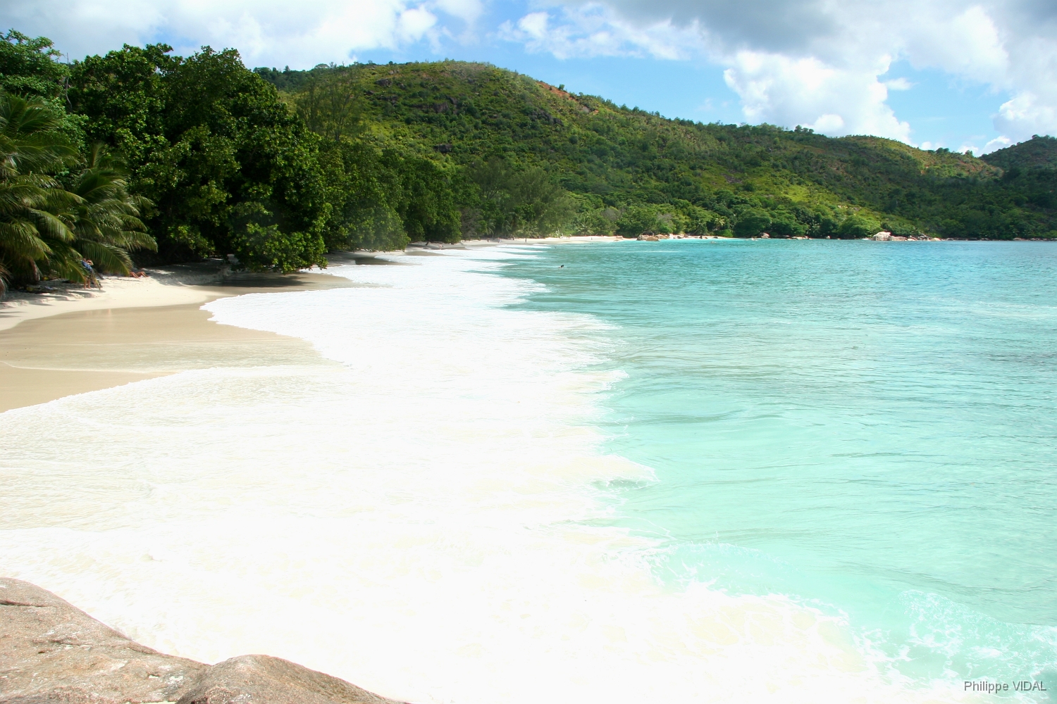 IMG_2099_rf_PRASLIN_ANSE LAZIO.jpg